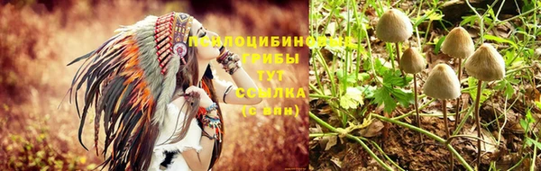 ПСИЛОЦИБИНОВЫЕ ГРИБЫ Баксан