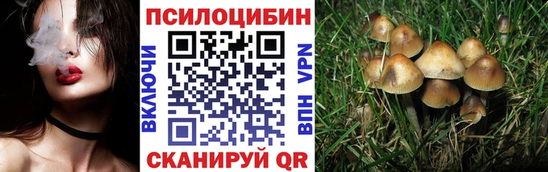 где продают наркотики Малгобек OMG как зайти Галлюциногенные грибы мицелий