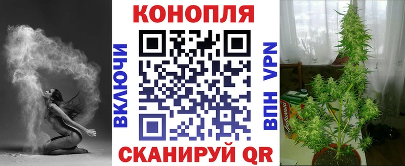 Бошки марихуана OG Kush  Малгобек 